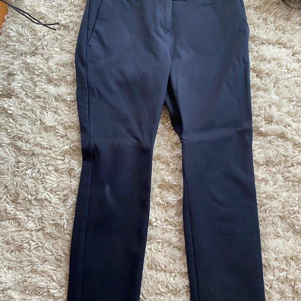 Ann Taylor Navy Petite Devin Fit Trousers